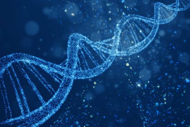 How Recovery Science Works